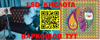 Альфа ПВП Будённовск