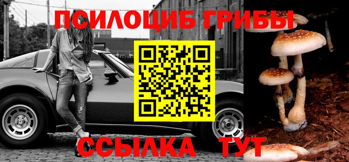 Псилоцибиновые грибы Cubensis  Вход с VPN  Щёкино 
